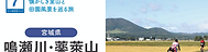 japanecotrack.net